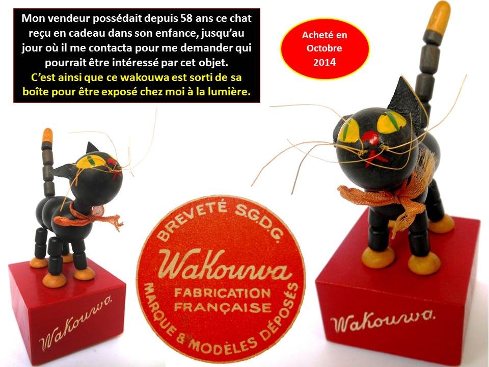 chat noir Wakouwa